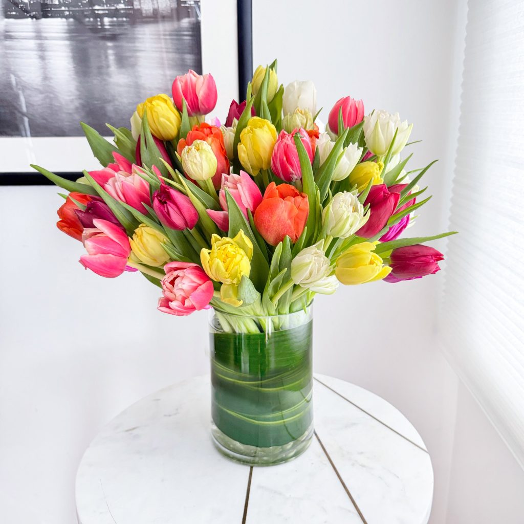 Tulip Double Rainbow
